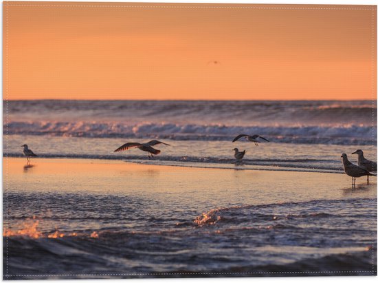 Vlag - Vliegende en Lopende Vogels in en Boven het Zeewater tijdens Zonsondergang - 40x30 cm Foto op Polyester Vlag