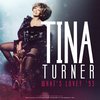 Tina Turner - What's Love '93 (LP)