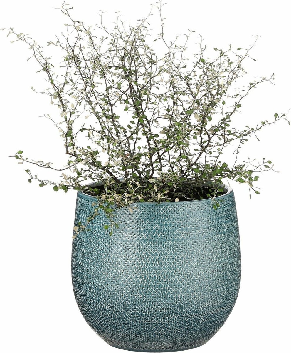 Pot de fleurs en faïence de 12 x 14 cm en faïence côtelée bleu nuit -  Cache- pots Mica... | bol
