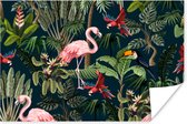 Poster Animaux de la jungle - Motif - Enfants - Flamingo - Perroquet - Kids - 60x40 cm