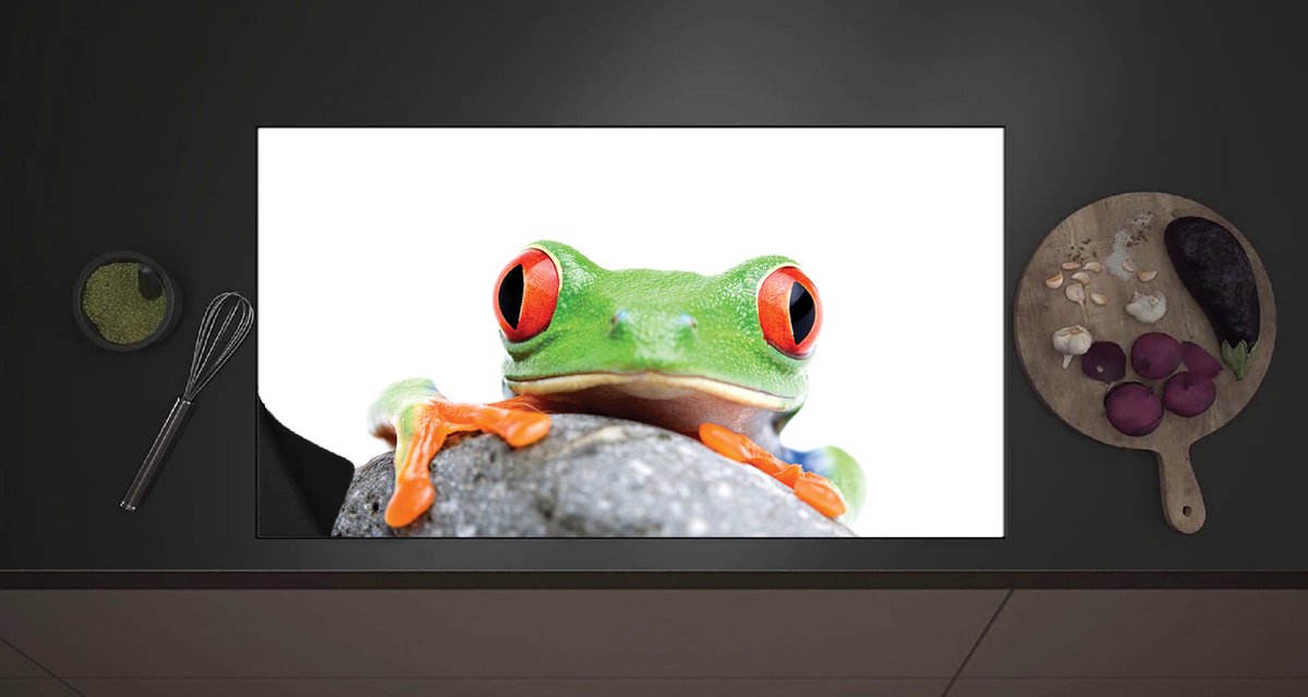 Inductieplaat Beschermer - Exotische Kikker op een Steen - 90x52 cm - 2 mm Dik - Inductie Beschermer met zwarte kern
