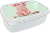 Boîte à pain Wit - Lunch box - Boîte à pain - Cochon - Rose - Verres - Prise - Animaux - 18x12x6 cm - Adultes