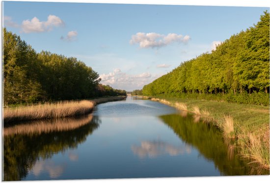 Acrylglas - Smalle Rivier stromend door Nederlandse Bossen - 105x70 cm Foto op Acrylglas (Met Ophangsysteem)