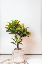 Kunstplant - Croton Codiaeum - Wonderstruik - 110 cm