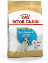 Royal Canin Jack Russell Terrier Junior - Nourriture pour chiens - 1,5 kg