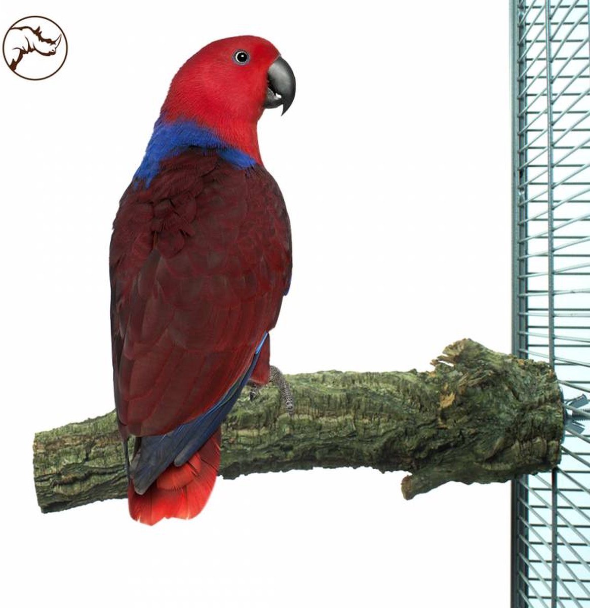 Back Zoo Nature Corky Perch Large