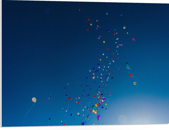 PVC Schuimplaat- Lucht Vol Gekleurde Ballonnen - 80x60 cm Foto op PVC Schuimplaat