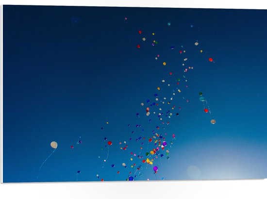 PVC Schuimplaat- Lucht Vol Gekleurde Ballonnen - 75x50 cm Foto op PVC Schuimplaat