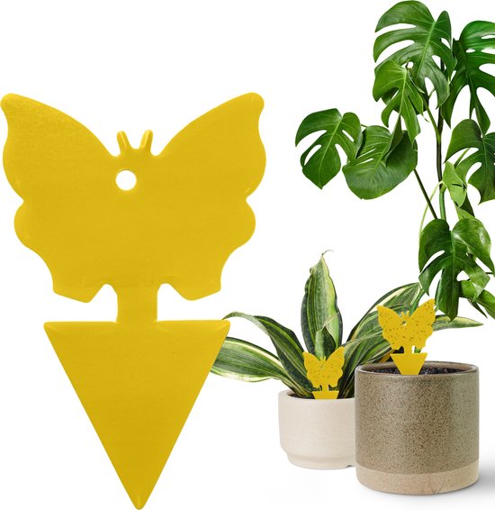 Vliegenstrip met Lijm - Vliegenvanger Kleefstrip - Vliegenval tegen Fruitvliegjes Rouwvliegjes - Ongedierte en Vliegen Bestrijden