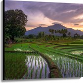 Canvas - Rijstvelden Vol met Water in Indonesië - 100x100 cm Foto op Canvas Schilderij (Wanddecoratie op Canvas)