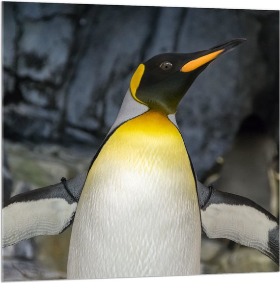 Acrylglas - Pingïun met Spitse Snavel en Neon Gele Contouren - 100x100 cm Foto op Acrylglas (Wanddecoratie op Acrylaat)