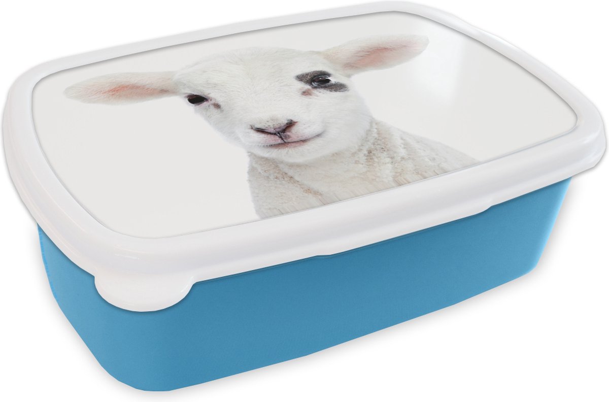 Broodtrommel Blauw - Lunchbox - Brooddoos - Lam - Wit - Dieren - Natuur - 18x12x6 cm - Kinderen - Jongen