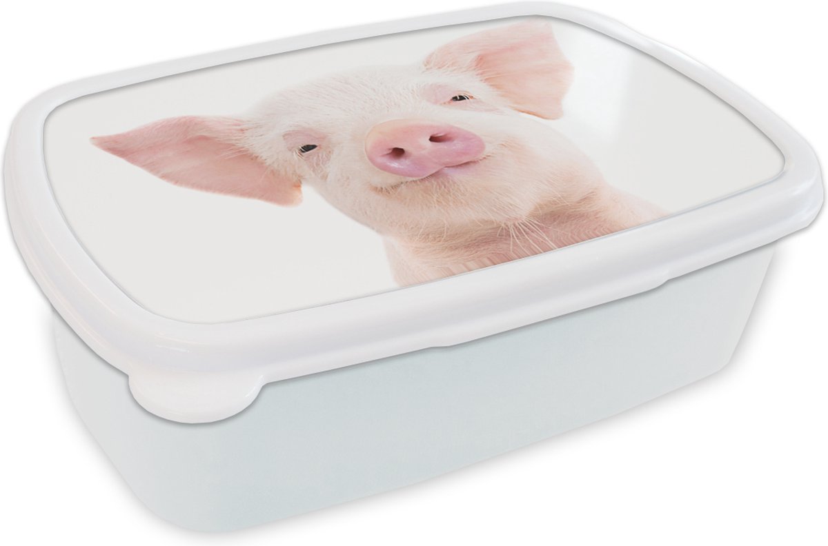Broodtrommel Wit - Lunchbox - Brooddoos - Varken - Roze - Dieren - Natuur - 18x12x6 cm - Volwassenen