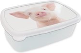 Broodtrommel Wit - Lunchbox - Brooddoos - Varken - Roze - Dieren - Natuur - 18x12x6 cm - Volwassenen