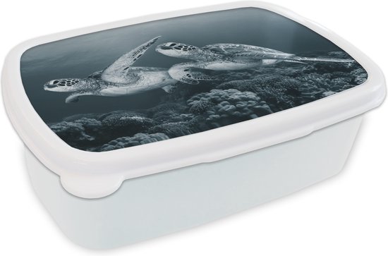 Broodtrommel Wit - Lunchbox - Brooddoos - Vrachtwagens Op De Snelweg Zwart Wit 18x12x6 Cm Volwassenen