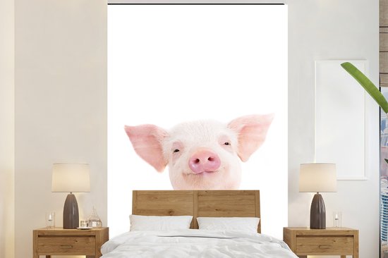 Varken - Roze - Dieren - Natuur - Behangpapier