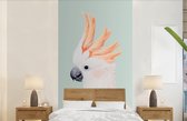 Kaketoe - Dieren - Natuur - Wit - Behangpapier