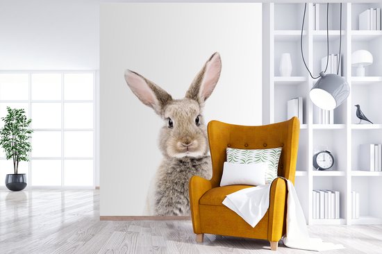 Konijn - Dieren - Natuur - Bruin - Behangpapier