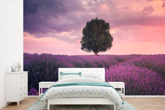 lavendel-bloemen-paars-boom-natuur-bol
