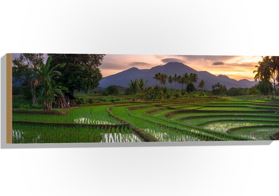 Hout - Rijstvelden Vol met Water in Indonesië - 90x30 cm - 9 mm dik - Foto op Hout (Met Ophangsysteem)