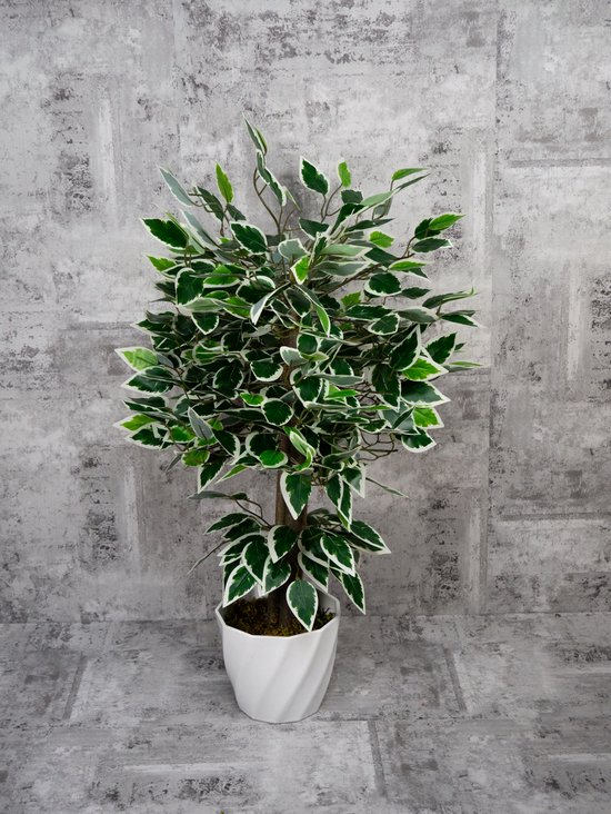 Ficus Benjamina Starlight - kunstplant - hoogte van 75 cm - inclusief pot