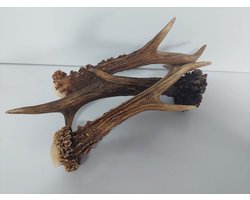 DierOKÉ hertengewei - S kauwsnack voor de hond - 100% natuurlijk - +/-80 gram - gewei - hondensnacks - small