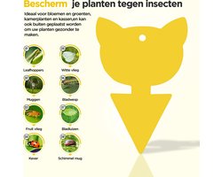 Professor Q Fruitvliegjes Vanger - Fruitvliegval - Rouwvliegjes Bestrijden - Insectenvanger val - Vliegenvanger - Kat - 12 stuks