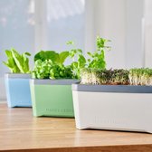 Boîte de culture intelligente avec réservoir d'eau intégré et hotte de culture HARRY HERBS - herbes et germes en culture hydroponique - Blauw