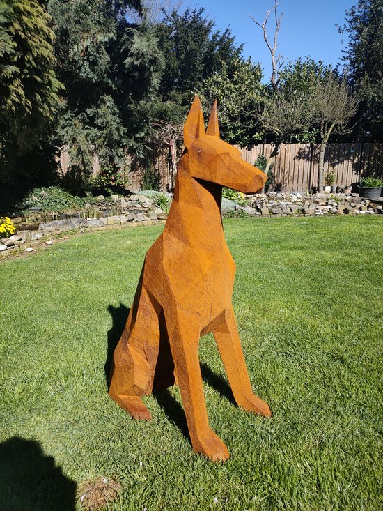 Chouette à Longues Oreilles - Description, Habitat, Faits Intéressants