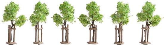 Foto: Noch 21538 set bomen jonge boom 40 cm min 6 stuk s 