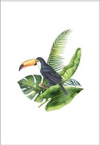 Toucan (21x29,7cm) - Wallified - Tropisch - Poster - Print - Wall-Art - Woondecoratie - Kunst - Posters