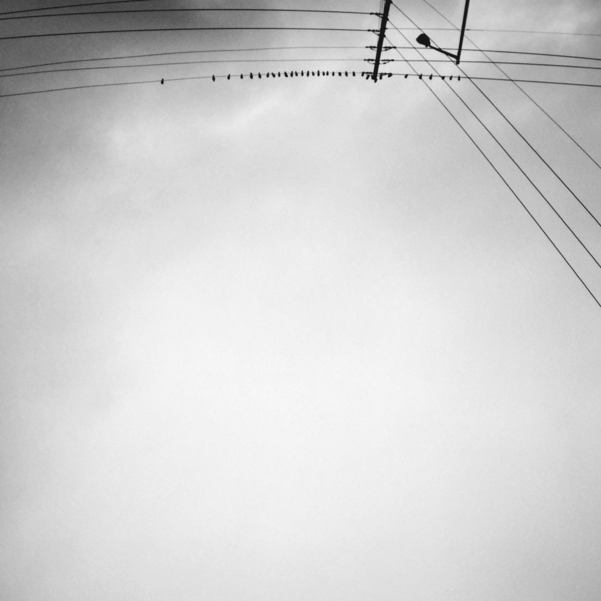 Armand Margjeka - Hummingbird (LP) (Coloured Vinyl)