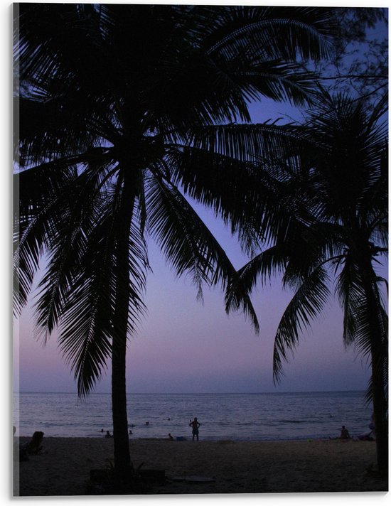 WallClassics - Acrylglas - Silhouet van Palmbomen tegen de Avond op het Strand - 30x40 cm Foto op Acrylglas (Met Ophangsysteem)