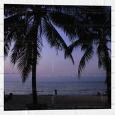 WallClassics - Muursticker - Silhouet van Palmbomen tegen de Avond op het Strand - 50x50 cm Foto op Muursticker