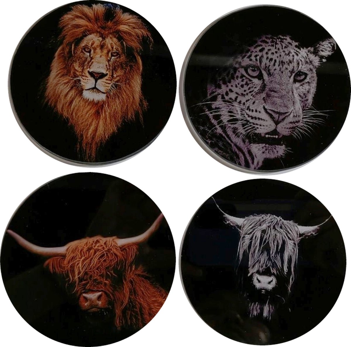Onderzetter Glas Ø10cm Animals