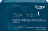 Testosteron Booster Male Factor 1 - 60 capsules - Spierkracht, Uithoudingsvermogen en Fitheid - Natuurlijke Ingrediënten - Krachtige Formule met Zink, Selenium, B1,B2,B3, B5,B6, B12, Vit C&E, Ginkgo Biloba, Tribulus Terrestris - ReAge