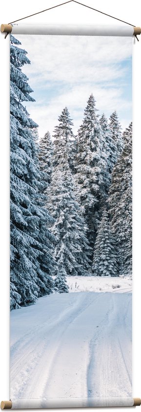 WallClassics - Textielposter - Pad tussen Bomen in Besneeuwd Landschap - 40x120 cm Foto op Textiel