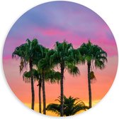 WallClassics - PVC Schuimplaat Muurcirkel - Palmbomen met Kleurrijke Lucht - 100x100 cm Foto op Muurcirkel (met ophangsysteem)