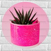 Muursticker Cirkel - Roze Glittervaasje met Groen Plantje tegen Roze Achtergrond - 50x50 cm Foto op Muursticker