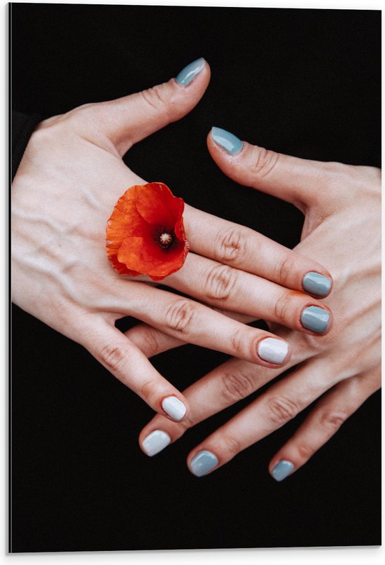 Dibond - Vrouwen Hand met Bloem tussen Vingers en Blauw Gelakte Nagels - 40x60 cm Foto op Aluminium (Wanddecoratie van metaal)