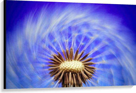 Canvas - Wazige Paardenbloem tegen Blauwe Achtergrond - 120x80 cm Foto op Canvas Schilderij (Wanddecoratie op Canvas)