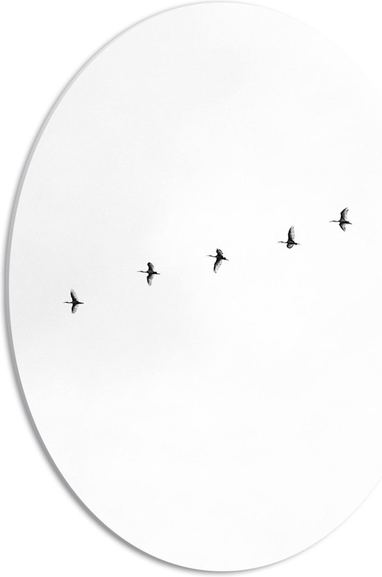 WallClassics - PVC Schuimplaat Ovaal - Zwarte Vogels Vliegend in Lijn op Witte Achtergrond - 42x56 cm Foto op Ovaal (Met Ophangsysteem)