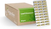 Leaf Diseases Bladziekten Capsules – 36 stuks - Voor planten die vatbaar zijn voor bladziekten - Ondersteunt herstel en plantweerbaarheid - Geschikt voor alle kamerplanten, potplanten en buitenplanten - Organifer