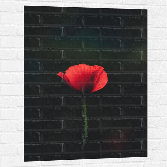 WallClassics - Muursticker - Rode Eenzame Bloem - 75x100 cm Foto op Muursticker