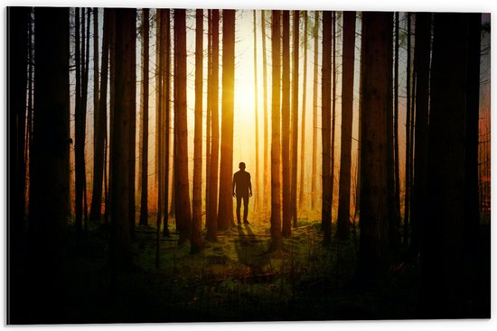 Dibond - Man in Bos met Hoge Bomen tijdens Felkleurige Zonsondergang - 60x40 cm Foto op Aluminium (Wanddecoratie van metaal)