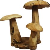 DKNC - Decoratieve paddenstoel Amanda - Teak hout - 60x70x65cm - Beige
