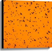 Canvas - Gele Lucht Vol met Trekkende Vogels - 60x60 cm Foto op Canvas Schilderij (Wanddecoratie op Canvas)