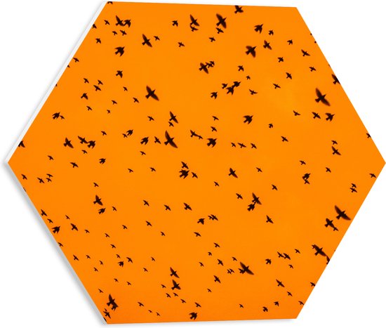 PVC Schuimplaat Hexagon - Gele Lucht Vol met Trekkende Vogels - 40x34.8 cm Foto op Hexagon (Met Ophangsysteem)