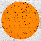 Muursticker Cirkel - Gele Lucht Vol met Trekkende Vogels - 20x20 cm Foto op Muursticker