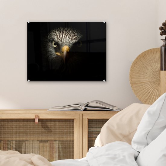 MuchoWow® Peinture sur verre 40x30 cm - Peinture sur verre acrylique - Vogel - Aigle - Rapaces - Oeil - Bec - Lumière - Photo sur verre - Peintures